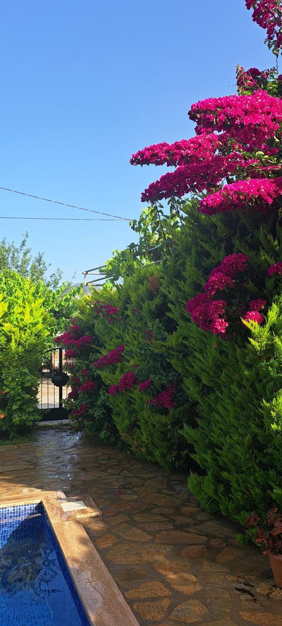 מוגלה Villa Ebrar Dalyan מראה חיצוני תמונה